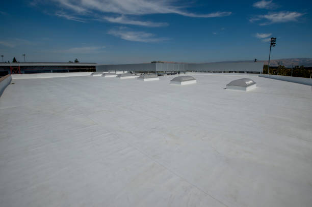 Best Green or Eco-Friendly Roofing Solutions  in Wellsville, UT