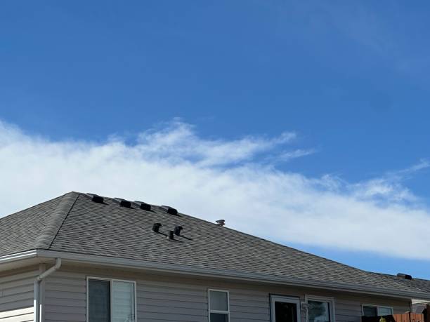 Best Roof Ventilation Installation  in Wellsville, UT